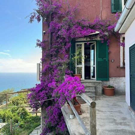 Amazing Flat At The Heart Of 5 Terre National Park Vernazza Exterior foto