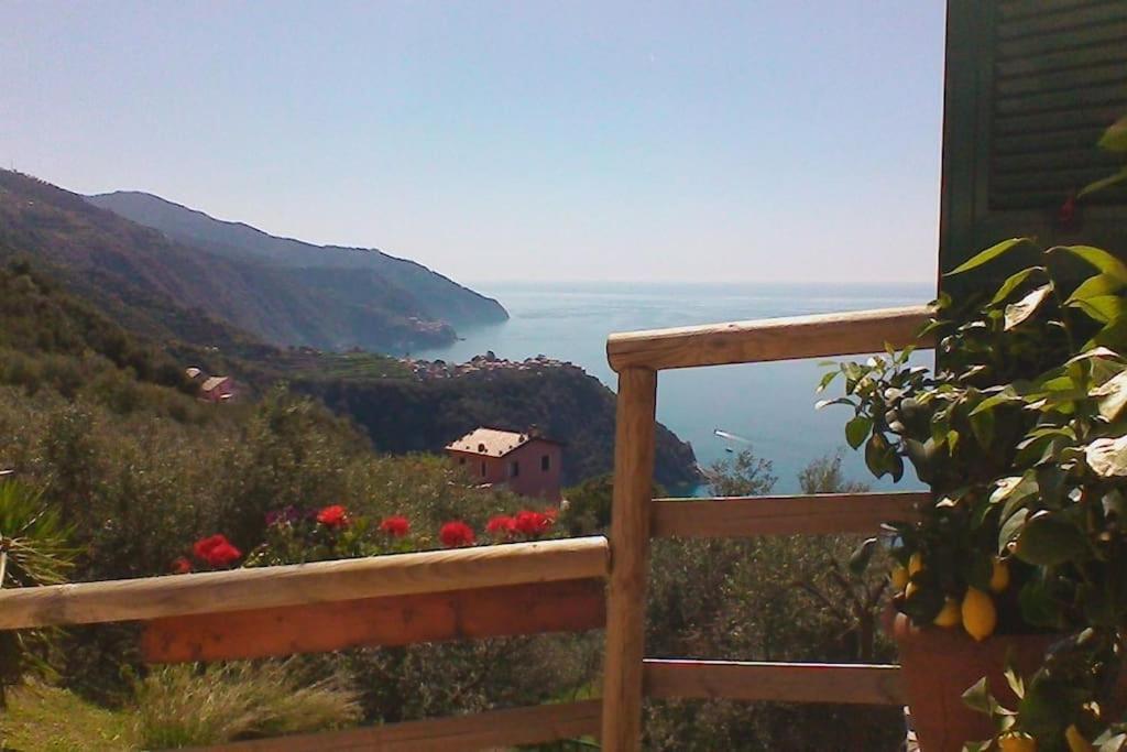 Amazing Flat At The Heart Of 5 Terre National Park Vernazza Exterior foto