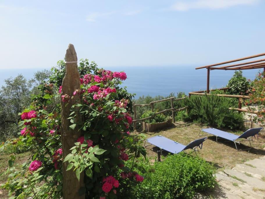 Amazing Flat At The Heart Of 5 Terre National Park Vernazza Exterior foto