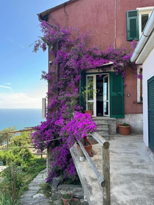 Amazing Flat At The Heart Of 5 Terre National Park Vernazza Exterior foto